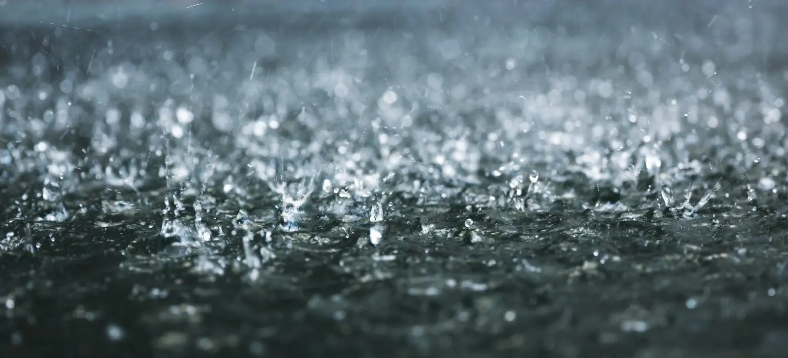 The rain