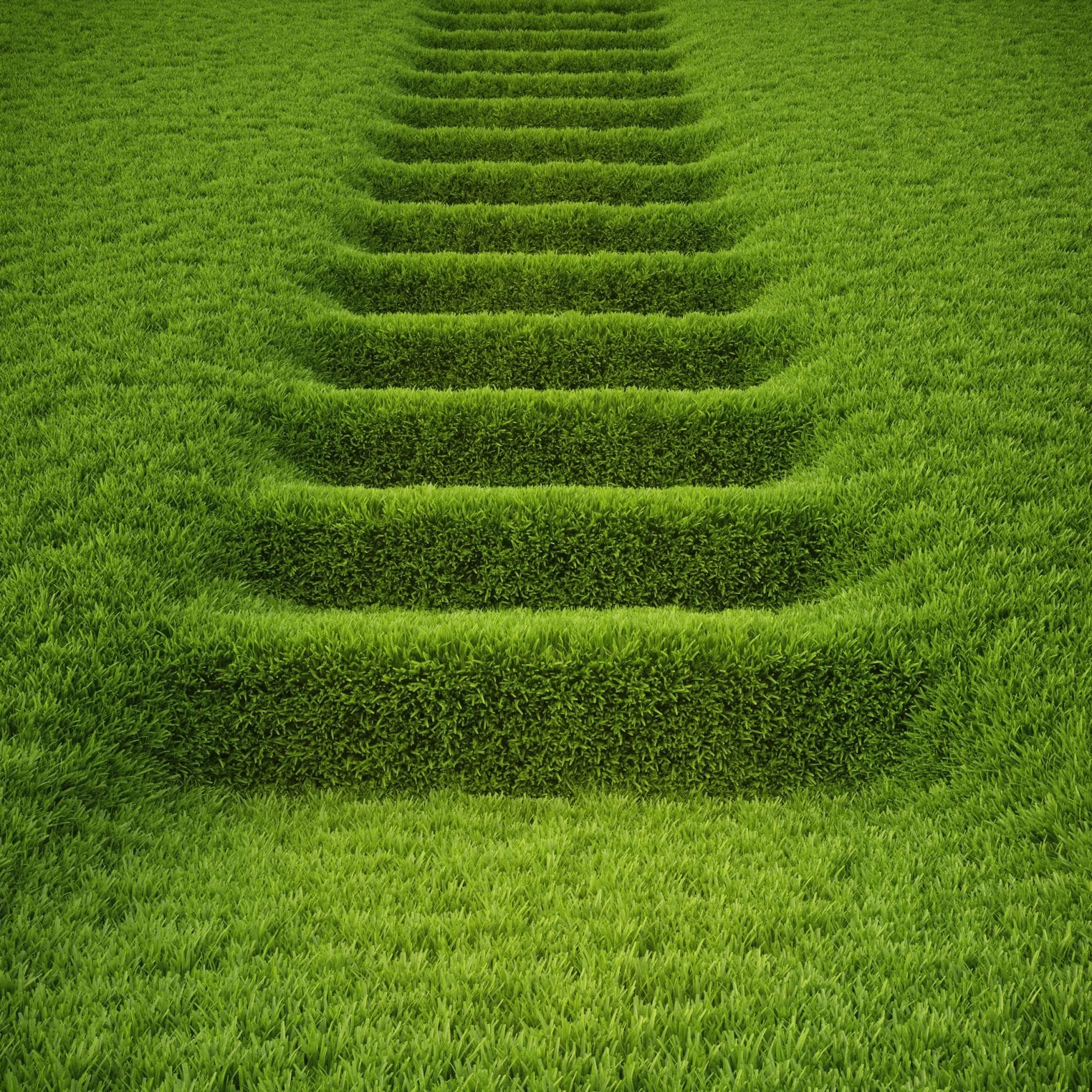 Green steps