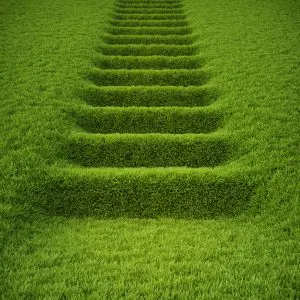 Green steps is not a color. It is action towards preserving nature and environment. What are you doing?