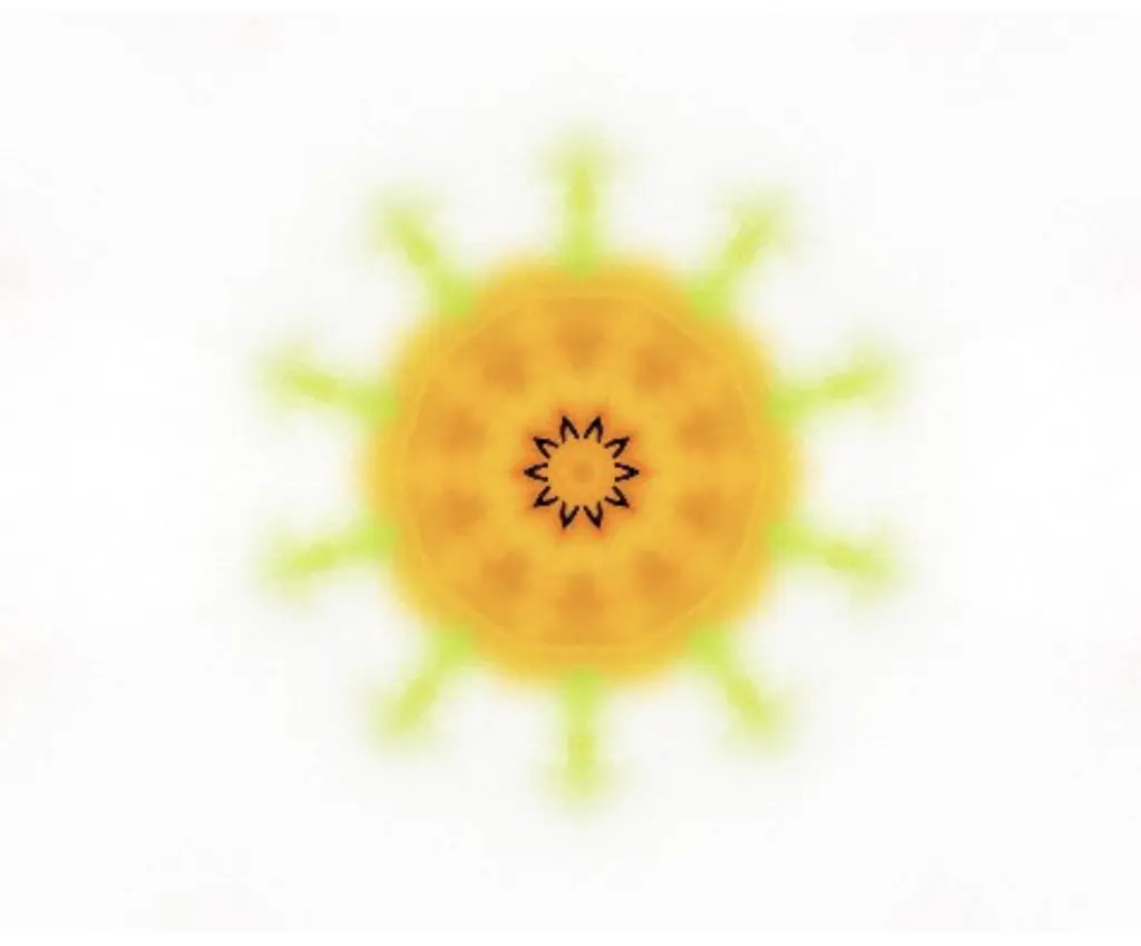 Kaleidoscope 6 0FA0DE4D 5E59 43FD B170 6953F051B5AF