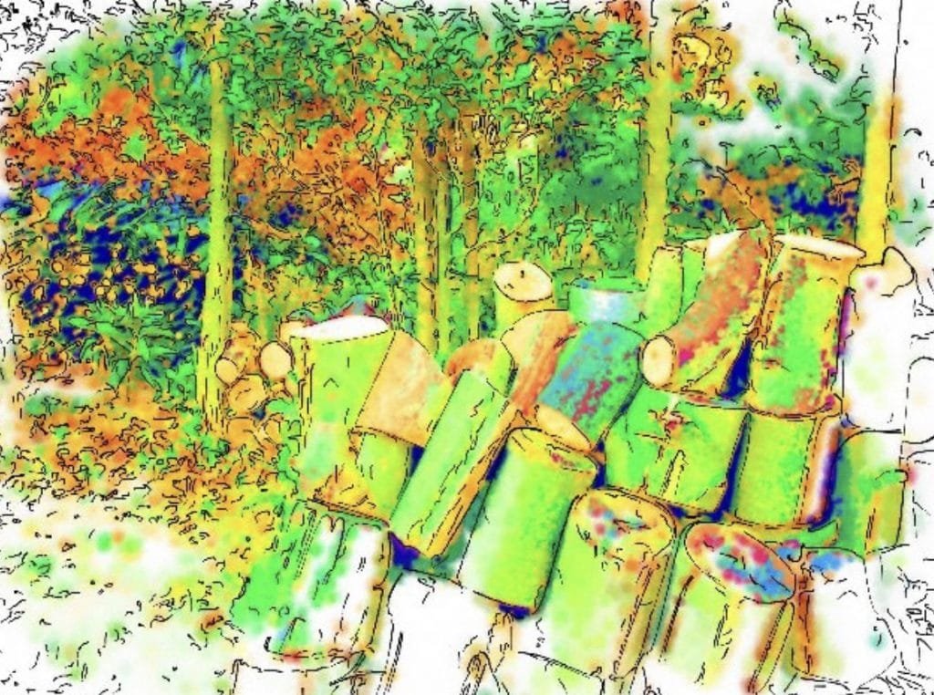 Wood 2 Wood - Bois - Hout - Holz