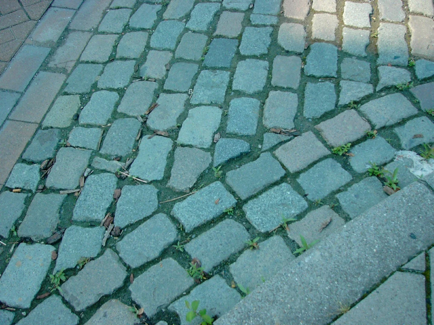 Walk of life And Crossroads