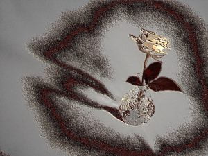 Silver and white 2 My special
