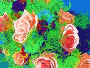 Rose roses Rose roses
