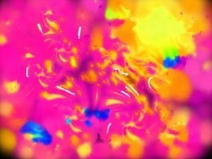 For love 2 Going on swIrling plastic