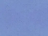 Backdrops - Variety - Waterside
as  background and paperwall for all kind of use and occasions