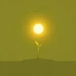 When small grows BIGGER