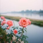 Down By the Riverbend